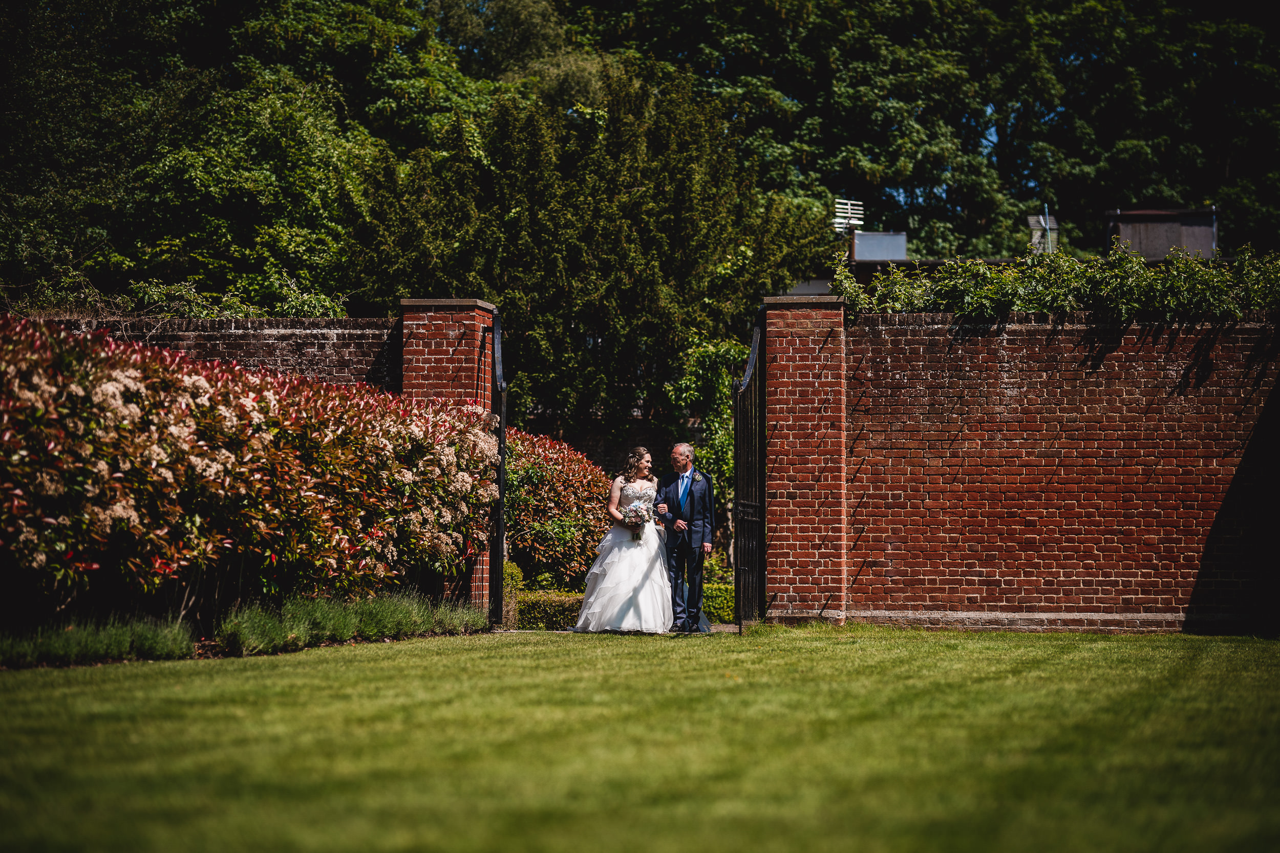 A bride and groom walk in a garden with a brick wall and flowering bushes on a sunny day.