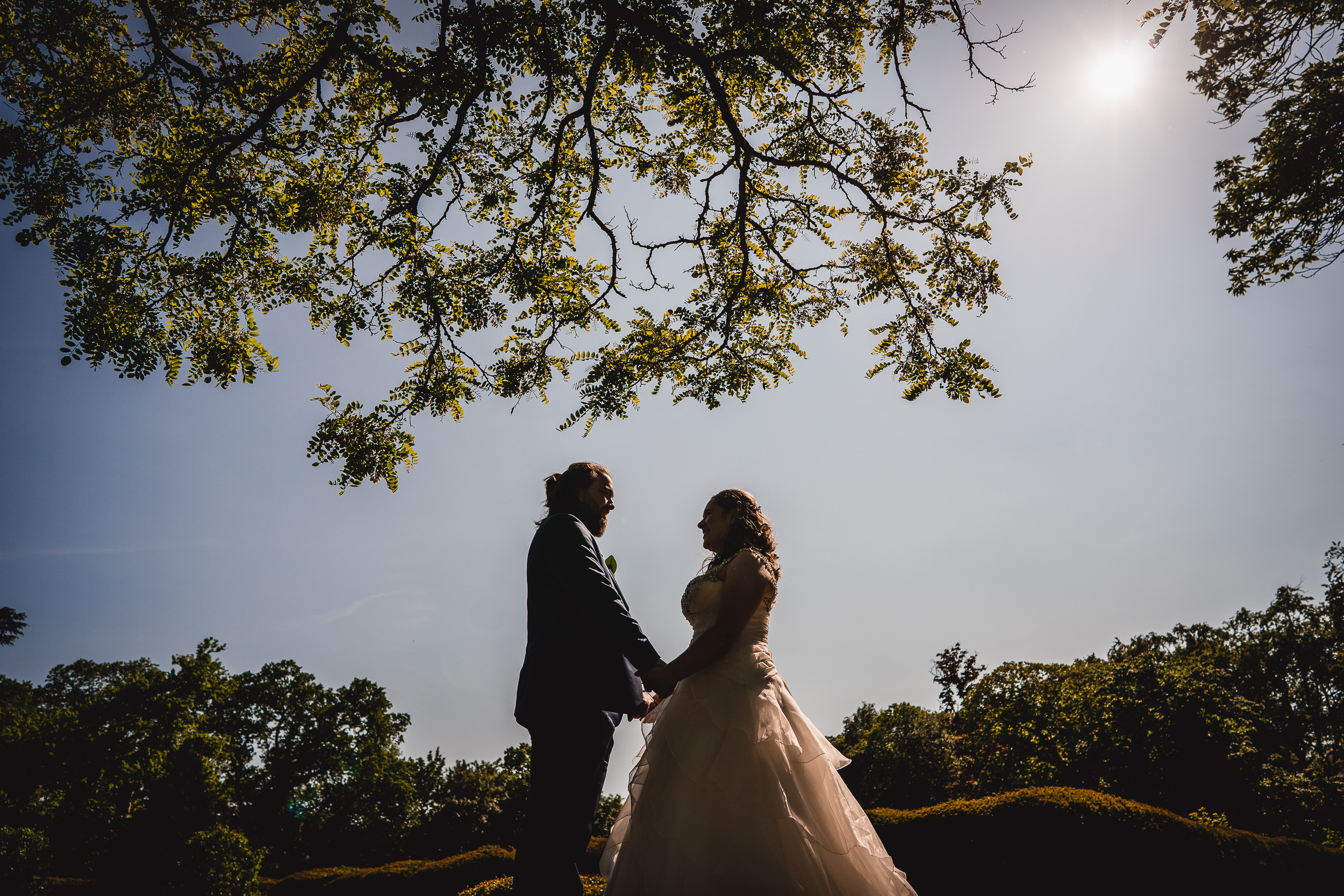 Silhouetted couple holding hands beneath tree branches, with a clear sky and the sun visible.