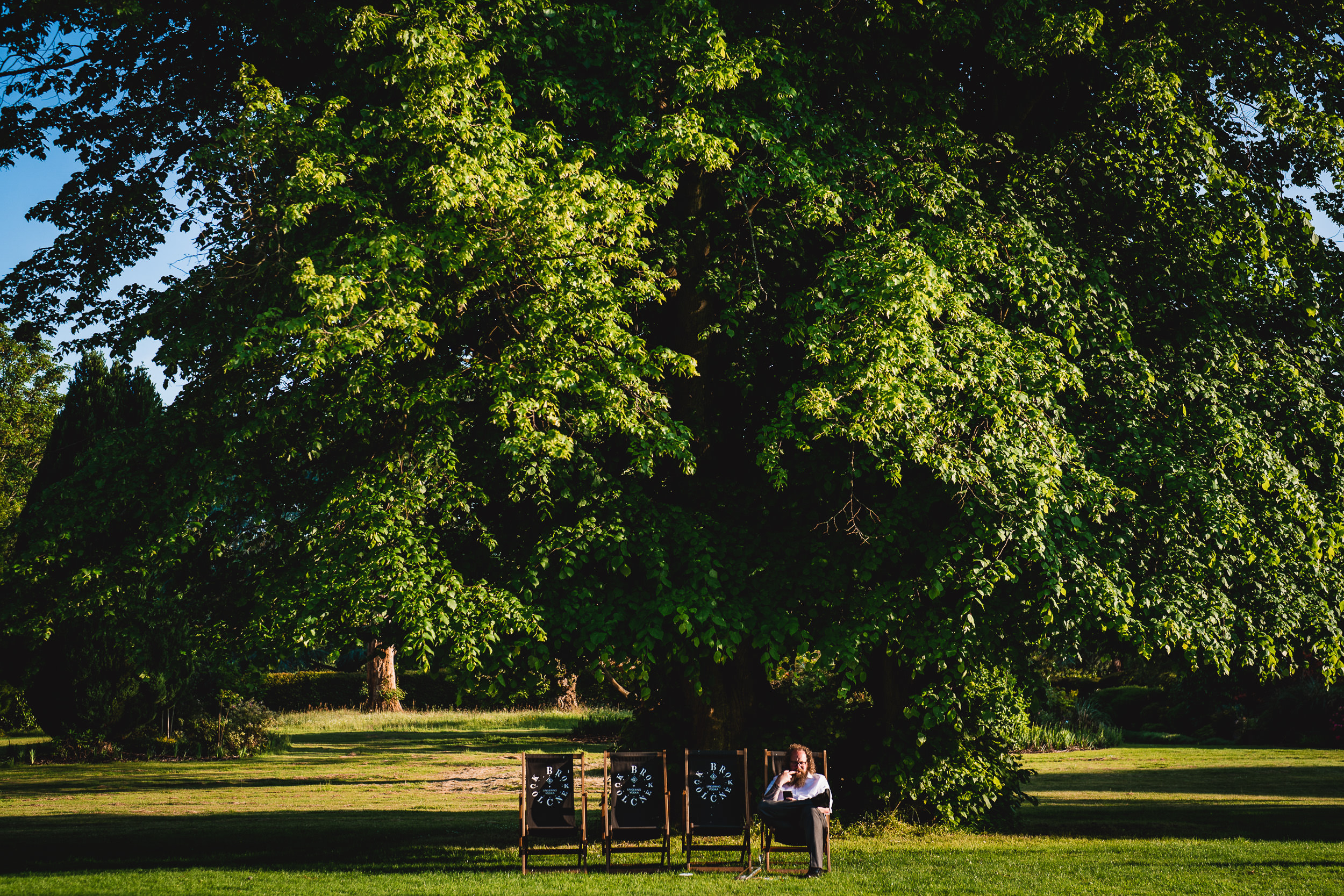 A person sits on a bench beneath a large, lush tree in a park, with three wooden targets placed nearby.